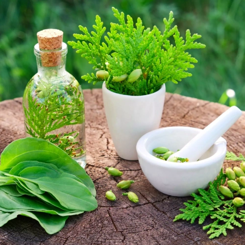 6.Herbal Extracts China Distributor