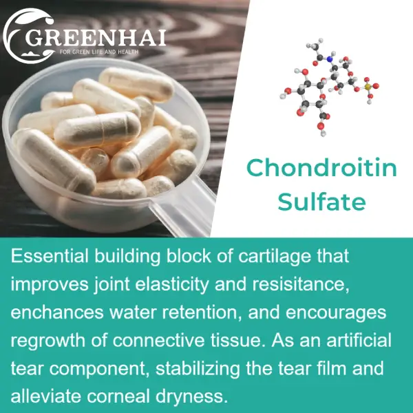 Chondroitin Sulfate Sodium 90% China Supplier Greenhai Nutritionals